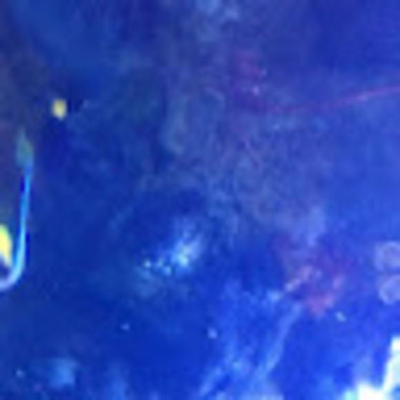 Meet your Posher, Has - Picture 1 of 1